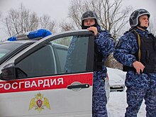 В Биробиджане росгвардейцы задержали пьяного водителя, нарушавшего ПДД