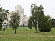 Какой жители хотят видеть пустующую территорию у Жулебинского леса?