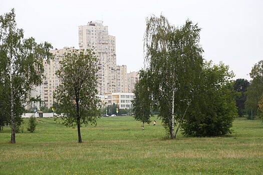 Какой жители хотят видеть пустующую территорию у Жулебинского леса?