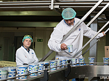 В свердловскую больницу поставляли опасную сметану