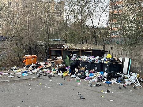 Читинский двор погряз в мусоре