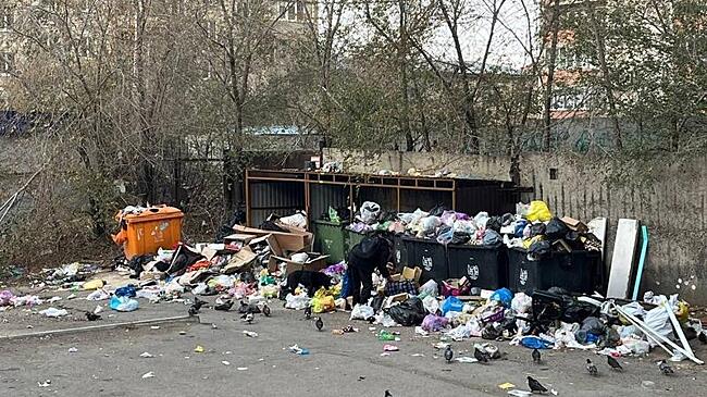 Читинский двор погряз в мусоре