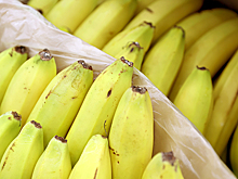 В России бананы могут включить в список сельхозпродукции