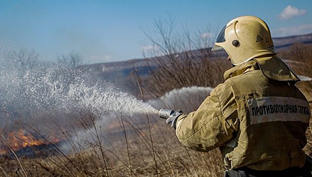 На Дальнем Востоке сгорели свыше 1,8 тысячи гектаров леса