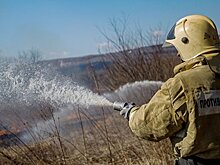 На Дальнем Востоке сгорели почти 65 тысяч гектаров леса