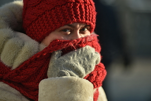 Прошедшая ночь стала самой морозной в Москве с начала года