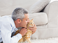 Ученые: Кошки благотворно влияют на здоровье мужчин