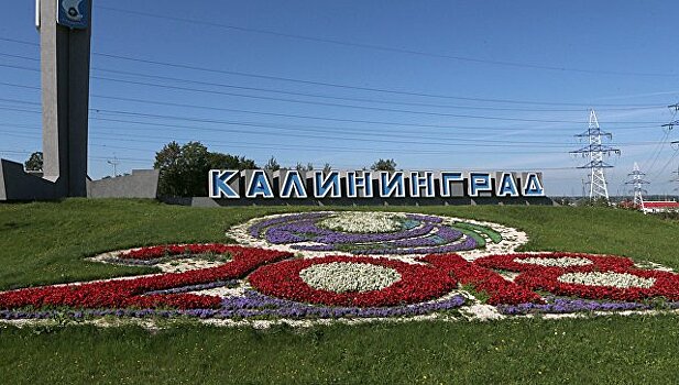 Под Калининградом открылся форум МФЦ, собравший представителей 70 регионов