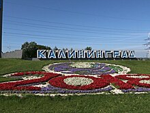 Под Калининградом открылся форум МФЦ, собравший представителей 70 регионов