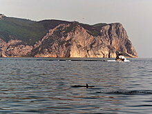 Крым станет Францией в новом фильме о русских партизанках