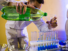 Челябинец научил шоумена Пушного распознавать плохую сметану