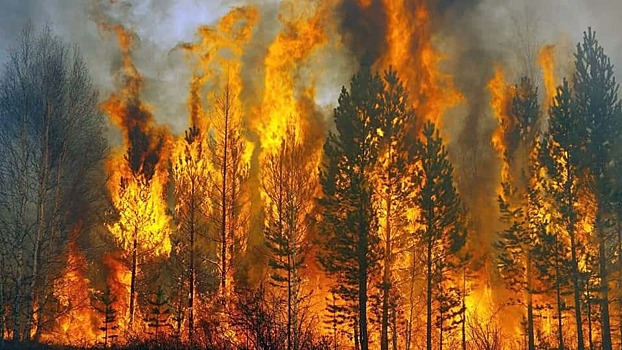 Нормы тушения пожаров решили изменить после заявления губернатора Красноярского края