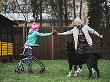 Студенты РУДН разработали проект «Пет-терапия»