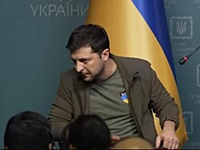 «Капибара» вместо контракта: Зеленский пролетел на саммите G7