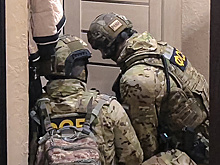 Запрет пропаганды ЛГБТ и предотвращение теракта украинских спецслужб. Главное за 24 ноября