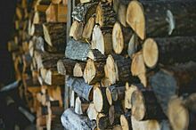 Льготники могут рассчитывать на компенсацию за покупку дров