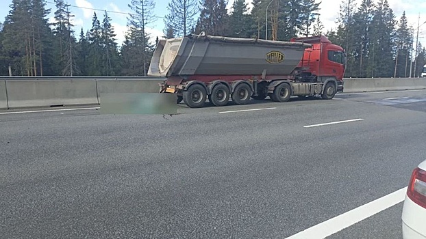 Одной из жертв ДТП с детьми-велосипедистами в Ленобласти стала тюменская спортсменка