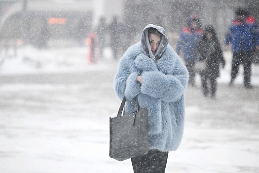 Гидрометцентр объявил "желтый" уровень погодной опасности в Москве на 24 февраля