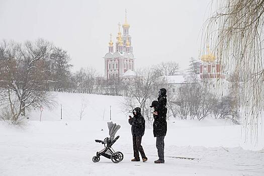 В Москве начал таять снег