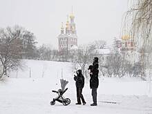 В Москве начал таять снег