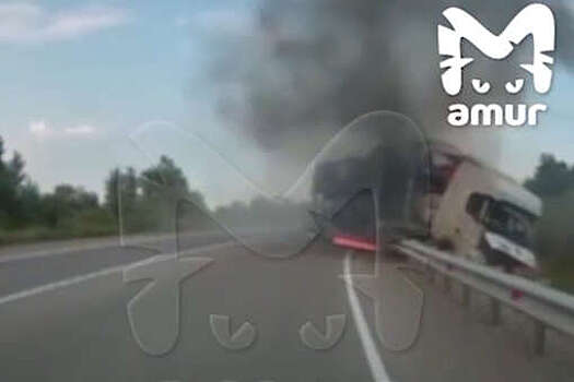 МВД: в ДТП с автовозом под Хабаровском сгорели 8 легковых автомобилей