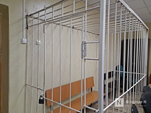 Нижегородку отдали под суд за финансирование украинской организации