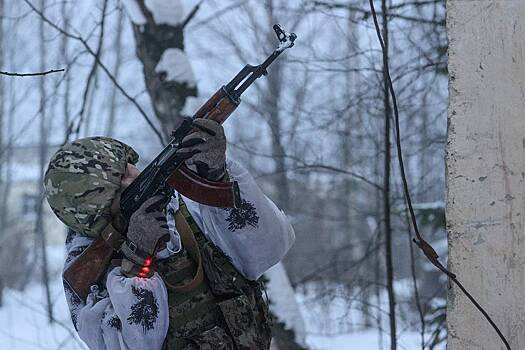 ВС России ликвидировали командира «Нормандской бригады»