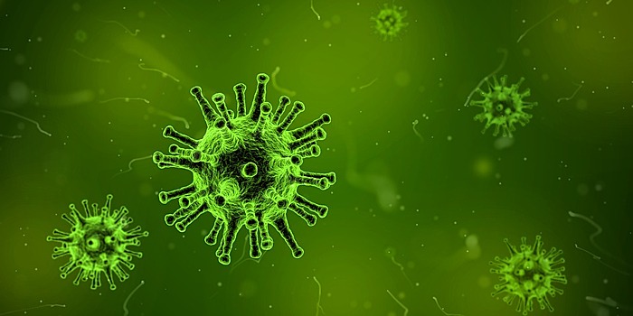 ВОЗ: люди могут лишиться защиты от вирусов