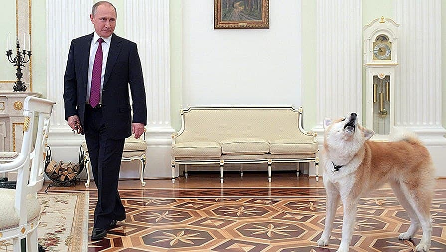 Японцы поблагодарили Путина за новый "собачий" тренд