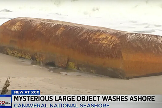 Загадочный железный ящик вынесло водой на побережье в США