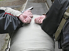 Сын экс-командира ОМОН Халимова пытался перебраться в Сирию к отцу