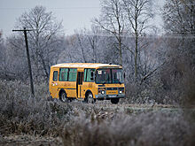 В Пензенской области собака напала на девочку, выходившую из автобуса
