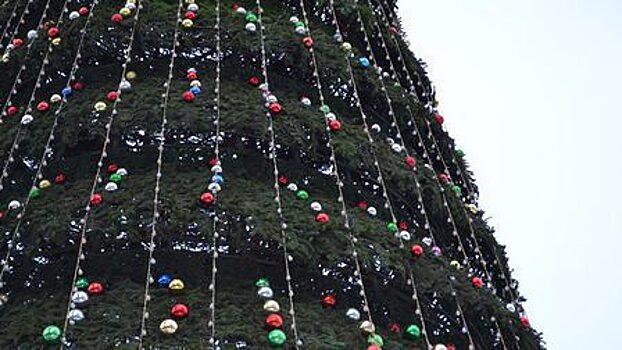 В Красноярске к новому году впервые установят елку на правобережной набережной