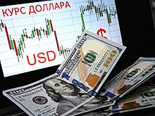 Эксперт сделал прогноз курса доллара на 2024 год