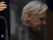 Сторонники Ассанжа назвали обвинения США в его адрес голословными