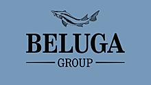 Экономист Шабанов объяснил рост популярности бренда Beluga грамотным маркетингом