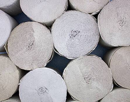 В России создали туалетную бумагу без втулки