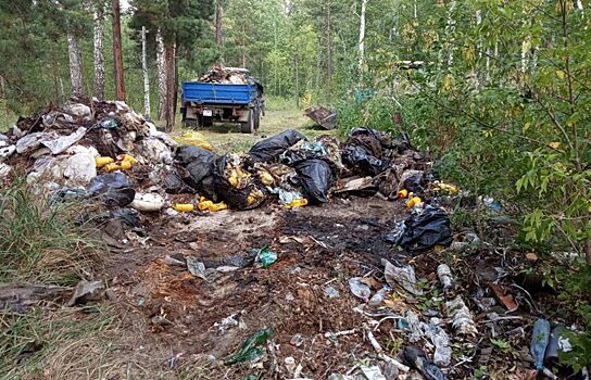 В Белозерском районе образовался мини-полигон из мусора