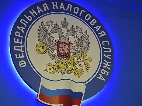 Юрист Георгиева: ФНС проверяет соцсети граждан для поиска теневых доходов