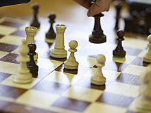 Ноябрьская шахматистка привезла три медали с первенства Азии