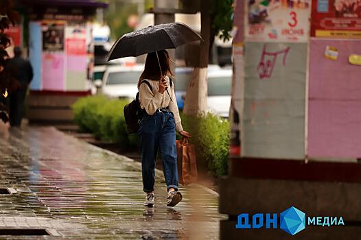 Быть ли дождю: какая погода ожидается в это воскресенье в Ростове