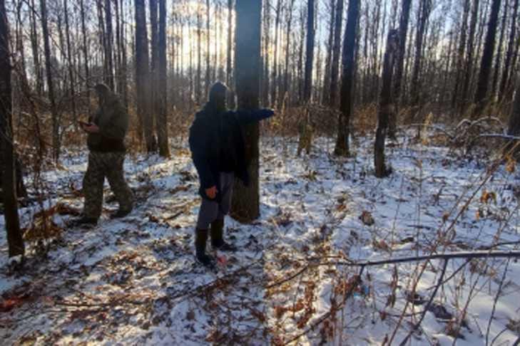 Обознался: охотник убил друга вместо косули в лесу под Искитимом