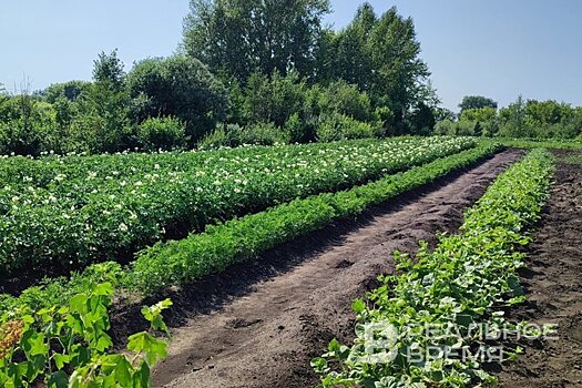 Росреестр зафиксировал популярность программы сельской ипотеки в ПФО и ЦФО: Татарстан попал в пятерку лидеров