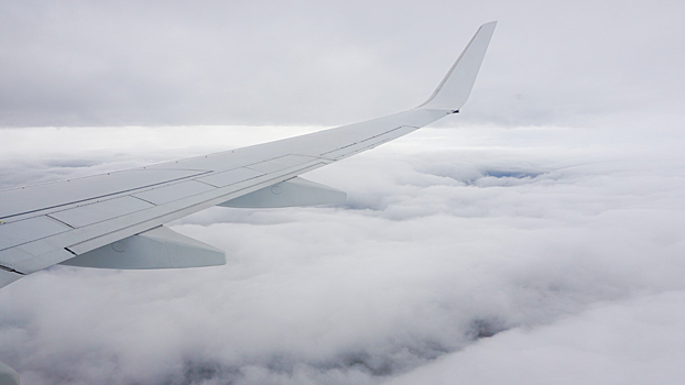 Прибытие задерживается: 15 самолетов не смогут вовремя прилететь в Новосибирск