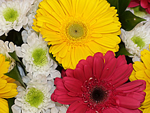 Как сохранить живые цветы надолго: советы и хитрости от флориста к 8 Марта