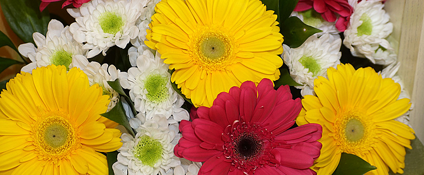 Как сохранить живые цветы надолго: советы и хитрости от флориста к 8 Марта