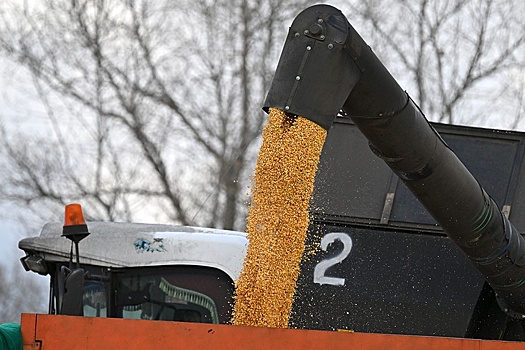 В Тюменской области собрали рекордный урожай зерновых и овощей