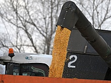 В Тюменской области собрали рекордный урожай зерновых и овощей