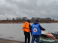 Сотрудники полиции обследуют Каму в районе Сарапула для установления причин гибели птиц