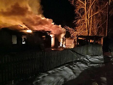 Четыре многодетные семьи Челябинской области пострадали в новогодние праздники от пожаров